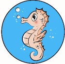 Schwimmkurs